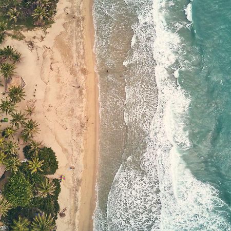 Playa Los Angeles Los Naranjos Dış mekan fotoğraf