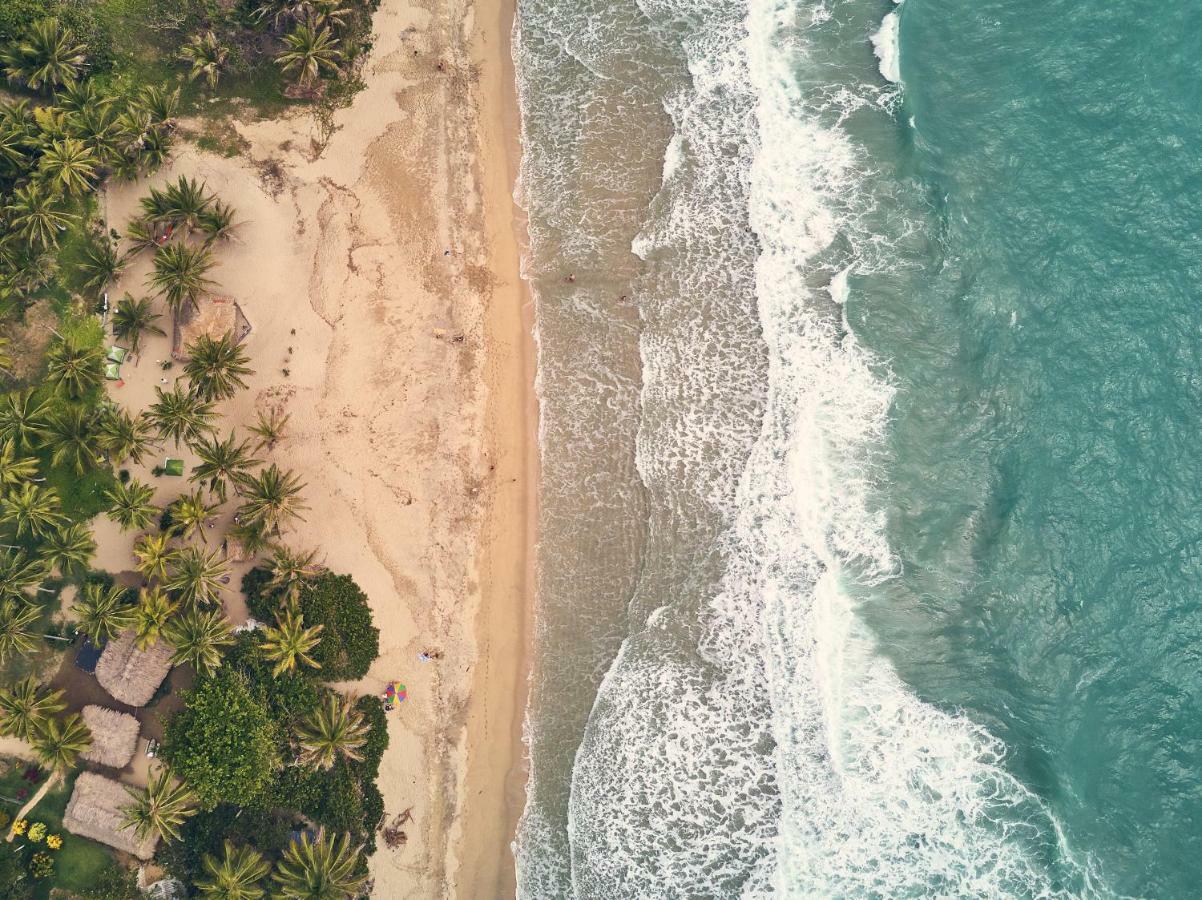 Playa Los Angeles Los Naranjos Dış mekan fotoğraf